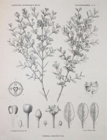 Wildeman, E.de. - photo 3 Wildeman, E.de. - photo 3