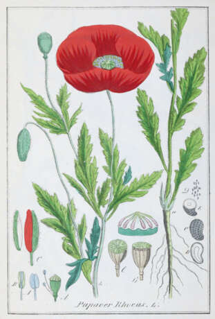 Winkler, E. - Foto 1