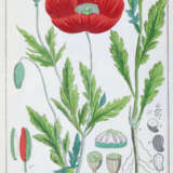 Winkler, E. - Foto 1