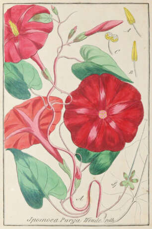 Winkler, E. - Foto 2