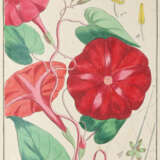 Winkler, E. - Foto 2