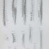 Loder, J.C. - photo 4