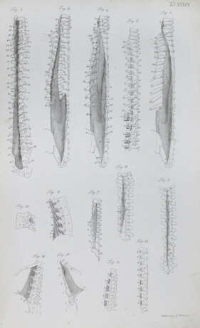 Loder, J.C. - photo 4