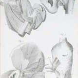 Loder, J.C. - photo 5