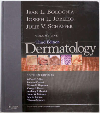 Bolognia, J.L., Jorizzo, J.L. u. J.V.Schaffer. - photo 3