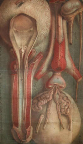 Daran, J. - photo 1 Daran, J. - photo 1