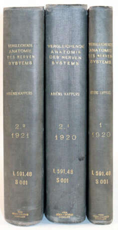 Droogleever Fortuyn, A.B. u. C.U.Ariens Kappers. - photo 5