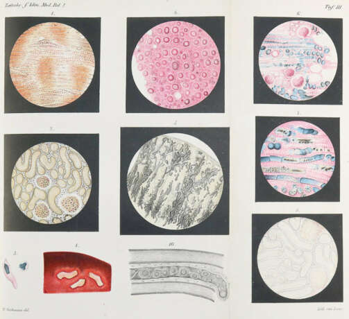 Ehrlich, P. - Foto 1