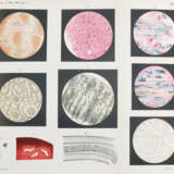 Ehrlich, P. - Foto 1