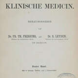 Ehrlich, P. - Foto 3