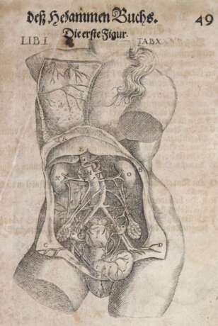 Bourgeois, L. - Foto 2