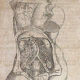 Bourgeois, L. - Foto 2