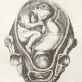 Steidele, R.J. - photo 1