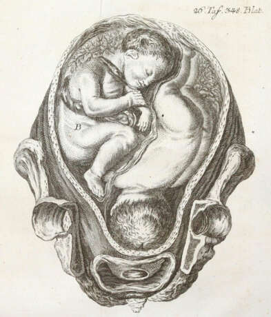 Steidele, R.J. - photo 1