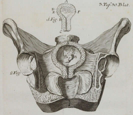 Steidele, R.J. - photo 3