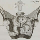 Steidele, R.J. - photo 3