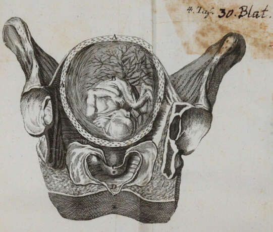 Steidele, R.J. - photo 4