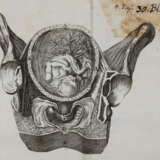 Steidele, R.J. - photo 4