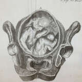 Steidele, R.J. - photo 5