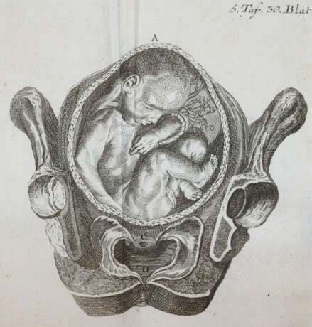 Steidele, R.J. - photo 5