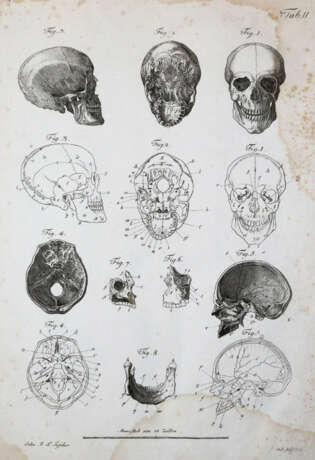 Kulmus, J.A. - Foto 2