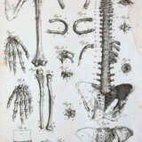 Kulmus, J.A. - Foto 3