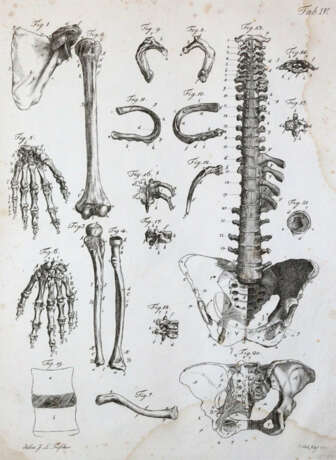 Kulmus, J.A. - Foto 3