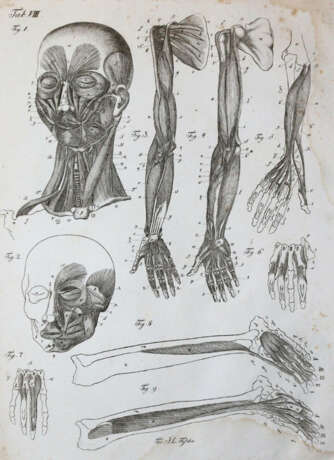 Kulmus, J.A. - Foto 4