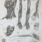 Kulmus, J.A. - Foto 4