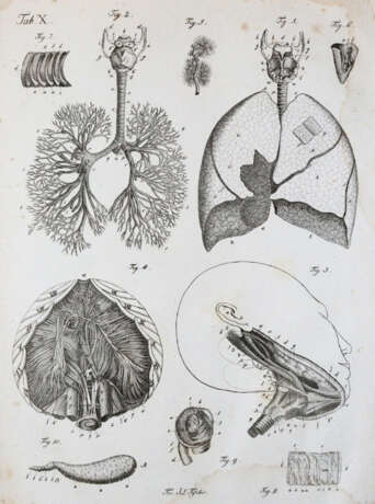 Kulmus, J.A. - Foto 5