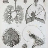 Kulmus, J.A. - Foto 5