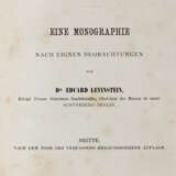 Levinstein, E. - photo 1