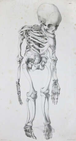 Mayer, A.F.J.K. - photo 1