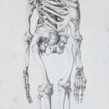 Mayer, A.F.J.K. - photo 1