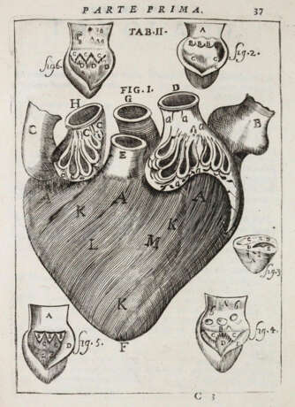 Pascoli, A. - Foto 2