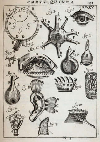 Pascoli, A. - Foto 3