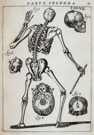 Pascoli, A. - Foto 4
