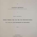 Retzius, G. - фото 2