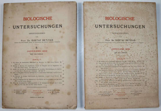 Retzius, G. - фото 5