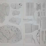 Retzius, G. - фото 6