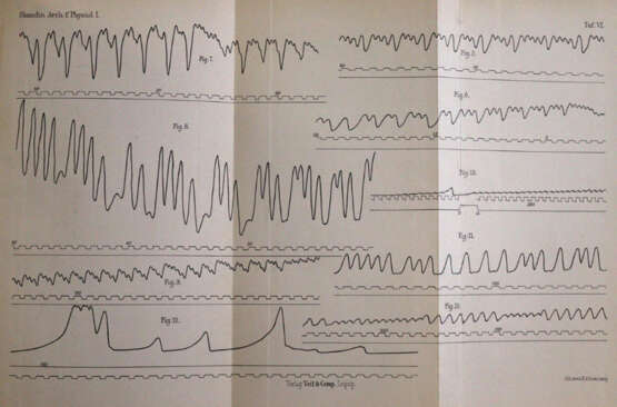 Sammlung - фото 3 Sammlung - фото 3