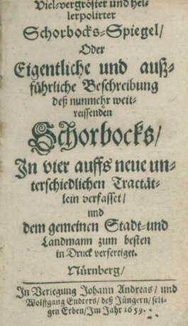 Viel-vergröster - photo 1