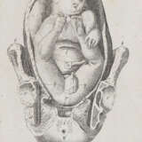 Stein, G.W. - фото 2