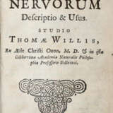 Willis, T. - photo 1