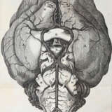 Willis, T. - photo 2