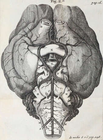 Willis, T. - photo 2