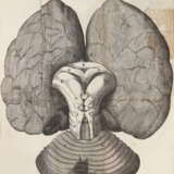 Willis, T. - photo 3