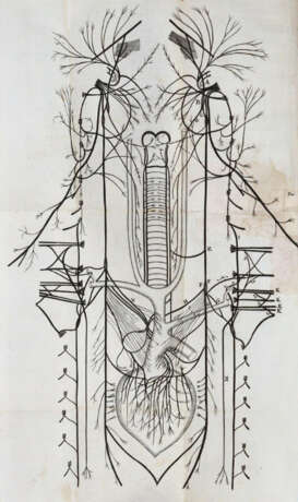 Willis, T. - photo 4