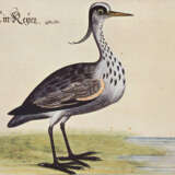 Baldner, L. - photo 2