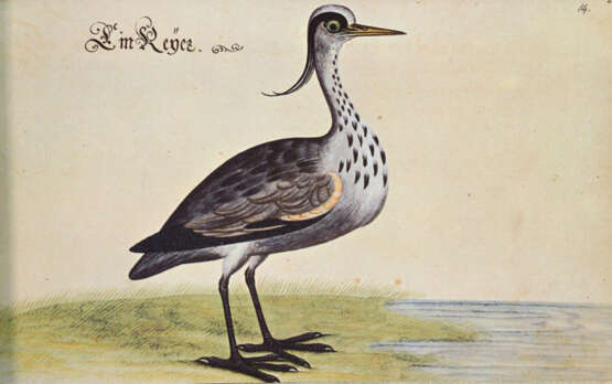 Baldner, L. - photo 2